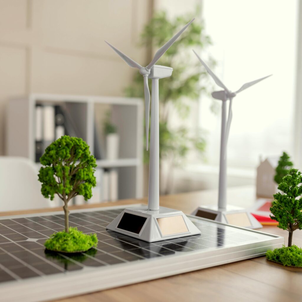 Project Management program